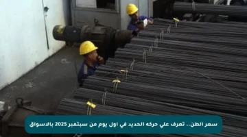 سعر الطن.. تعرف على حركة الحديد في أول يوم من سبتمبر 2025 بالأسواق